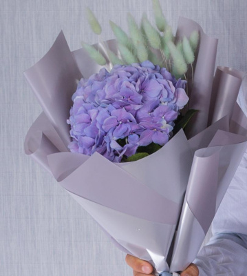 Школьный букет с гортензией и сухоцветами. "Капитошка" N 37963