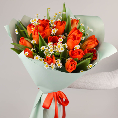 Букет из 19 алых тюльпанов с ромашками 46334