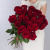 Букет из 25 Красных роз 60 см арт. 7305