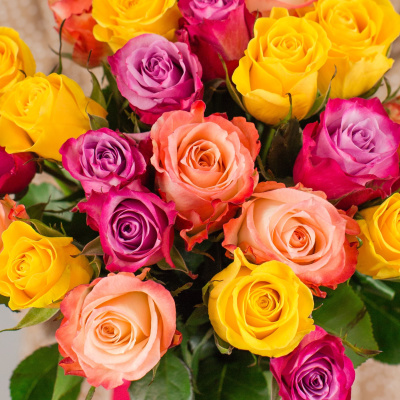 Букет из 25 эквадорских роз 40 см Яркий микс 7310